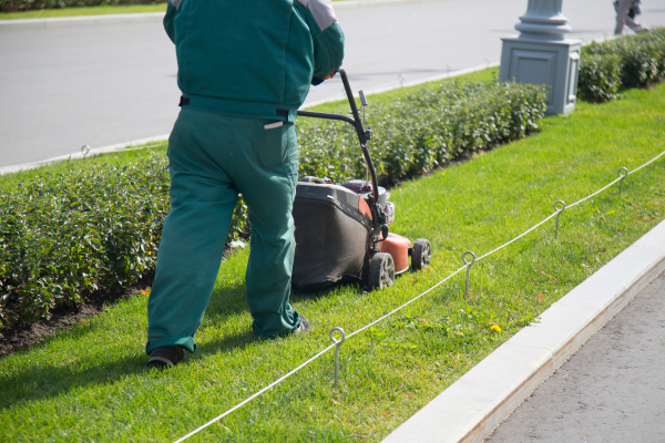 A man mowing a grass lawn